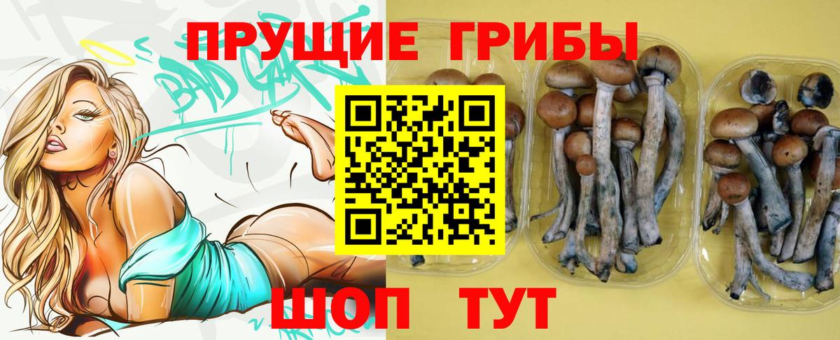 Аксай  Псилоцибиновые грибы Magic Shrooms  Вход с VPN  Галлюциногенные грибы Cubensis 